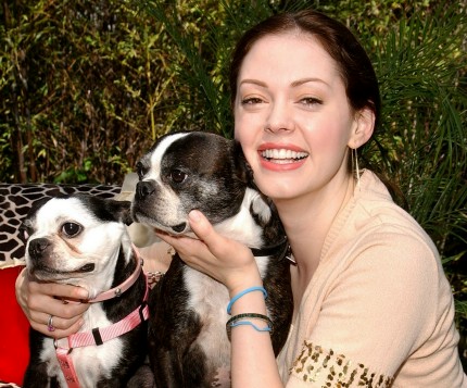 Famous Boston Terrier Owners
