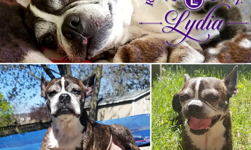 ADOPTED: Lydia