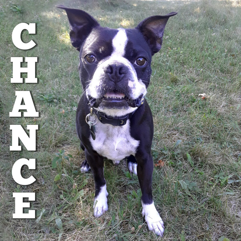 ADOPTED: Chance
