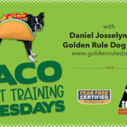 Taco ‘Bout Training Tuesdays: Rewards