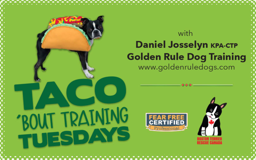 Taco ‘Bout TRICK Training Tuesdays!