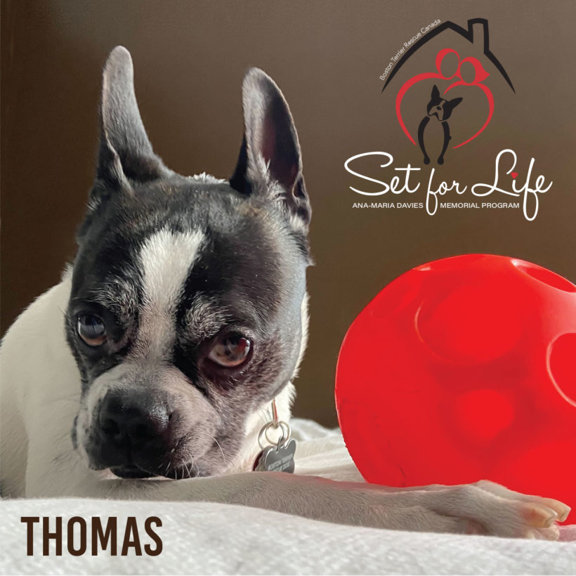SET FOR LIFE: Thomas