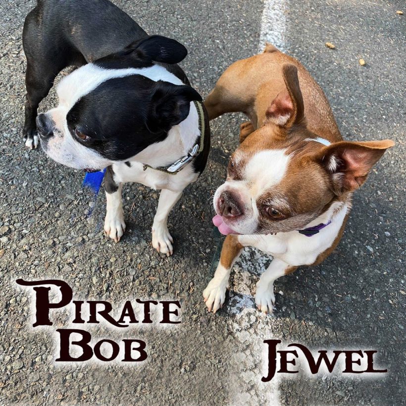 ADOPTED: Pirate Bob & Jewel
