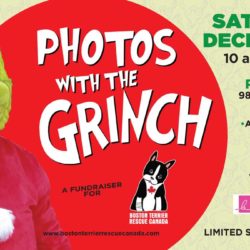Photos with The Grinch!