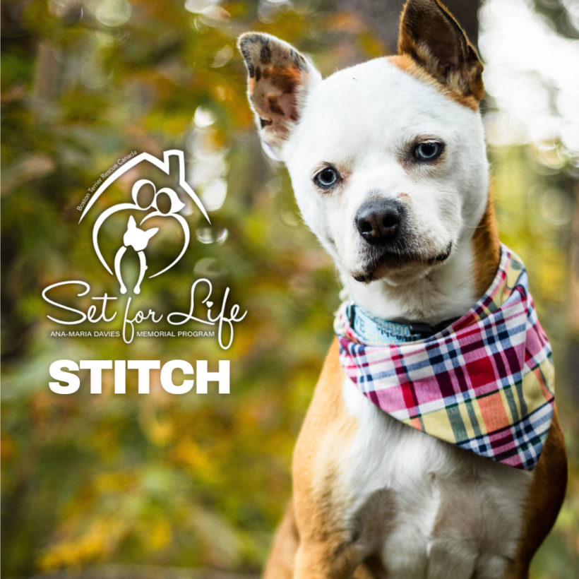 SET FOR LIFE: Stitch