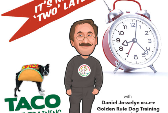 Taco ‘Bout Training Tuesdays: Never ‘Two’ Late!