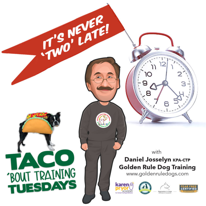 Taco ‘Bout Training Tuesdays: Never ‘Two’ Late!