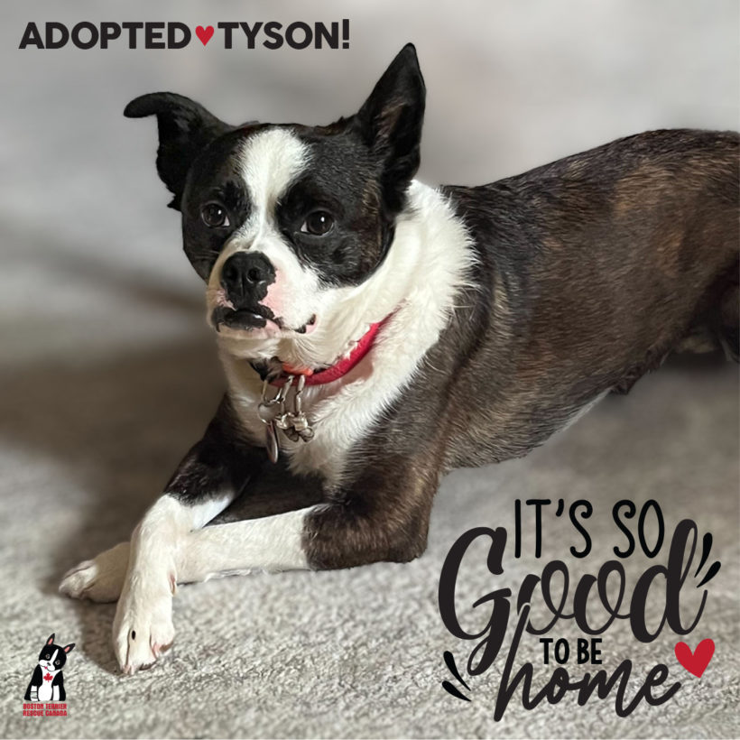 ADOPTED: Tyson