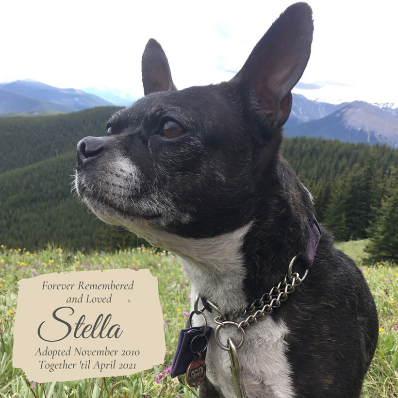 Stella (Pepper)