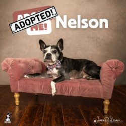 ADOPTED: Nelson