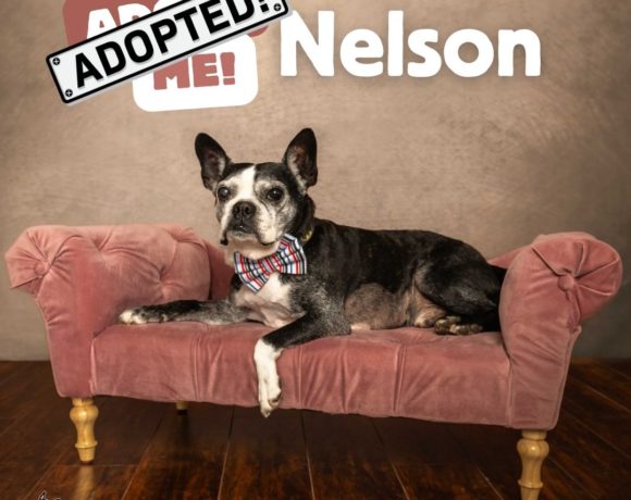 ADOPTED: Nelson