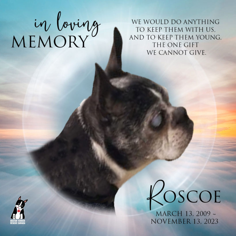 SET FOR LIFE: Roscoe
