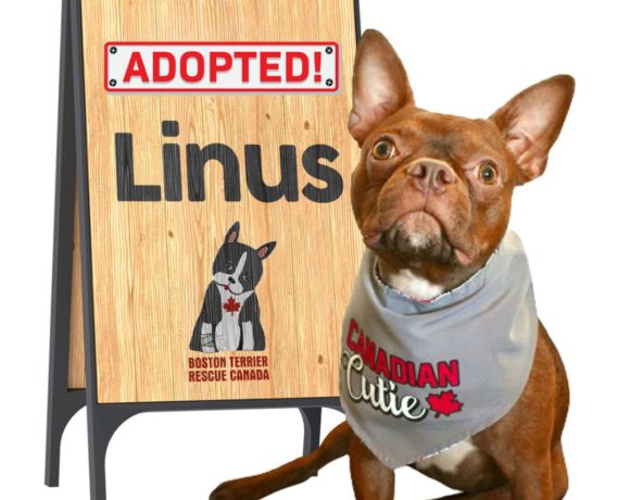 ADOPTED: Linus
